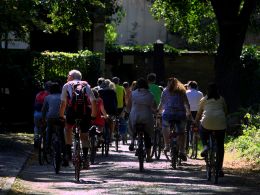 Rejtett utakon – Biciklitúra a Fiumei úti sírkertben