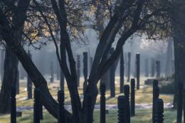 Akiket feledésre ítéltek – A Nemzeti Gyászpark