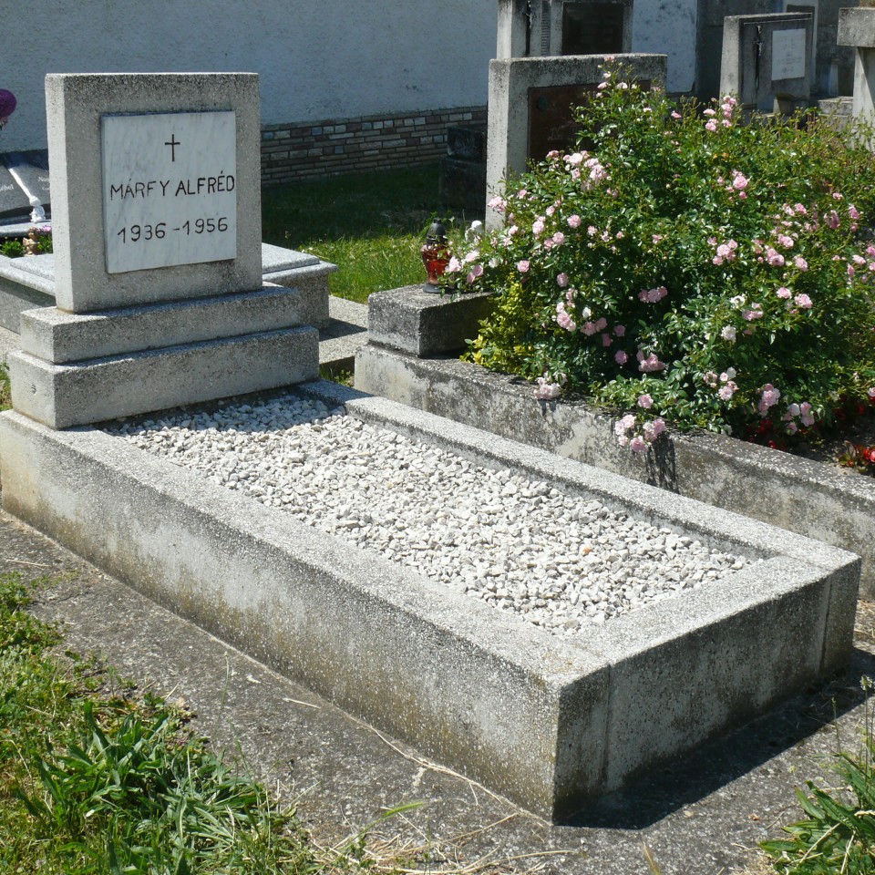 Márffy Alfréd