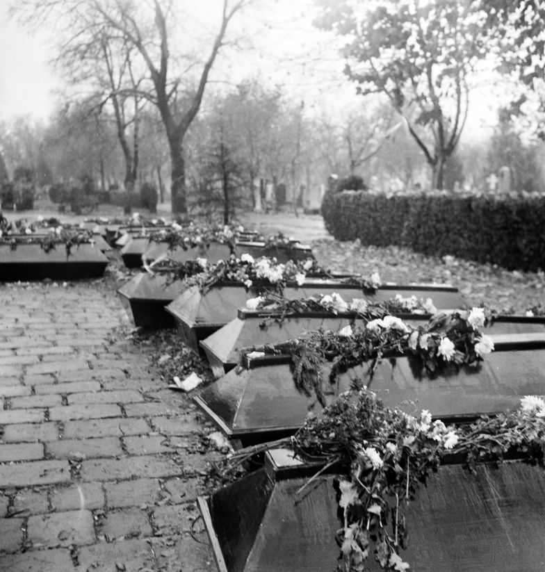 456 áldozat adatait dolgozza fel a Fiumei úti sírkert 1956-os történetét bemutató összeállítás