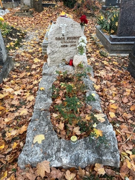 Bács Ferenc
