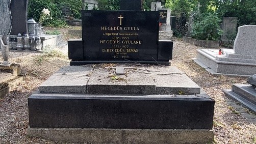 Hegedűs Tamás