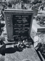 vitéz Mózsa János