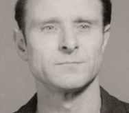 Spamberger György