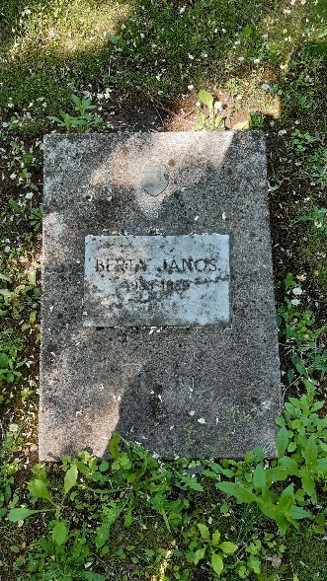 Berta János
